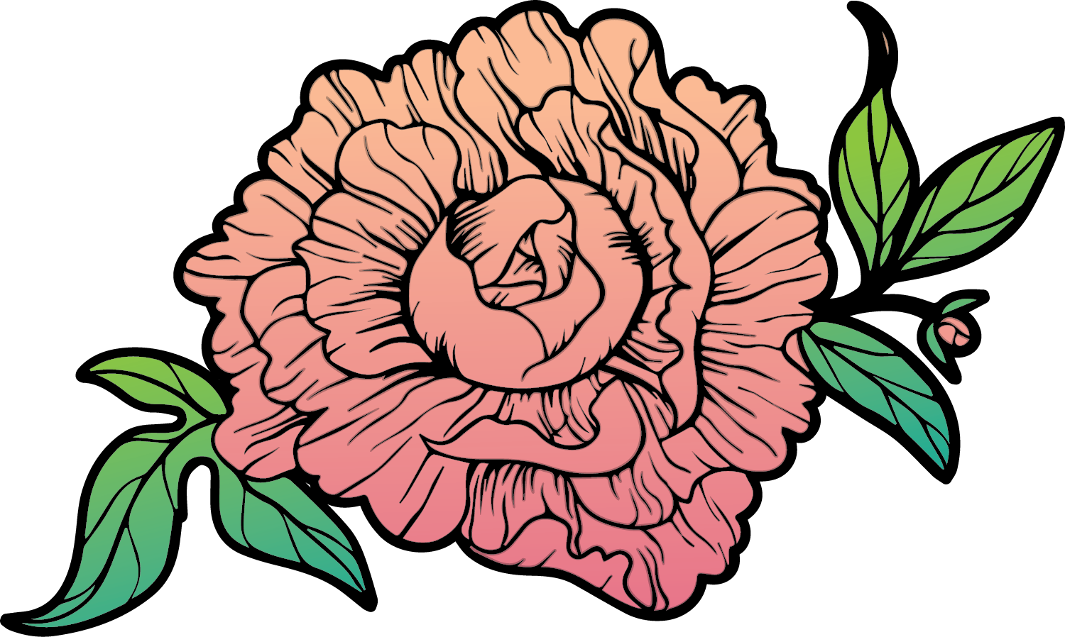 Flower Wrap Gallery - Webster Floral Company LLC